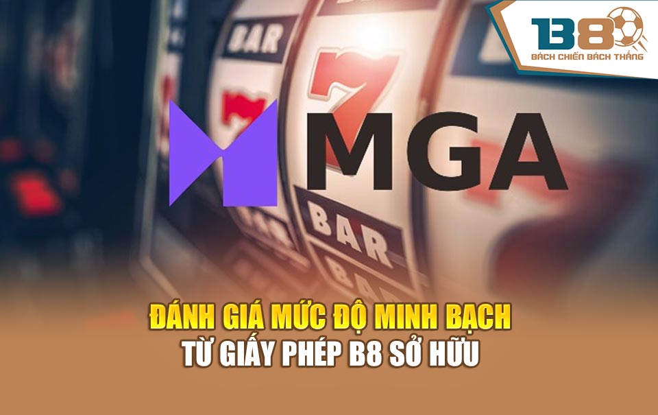 Đánh giá mức độ minh bạch từ giấy phép B8 sở hữu