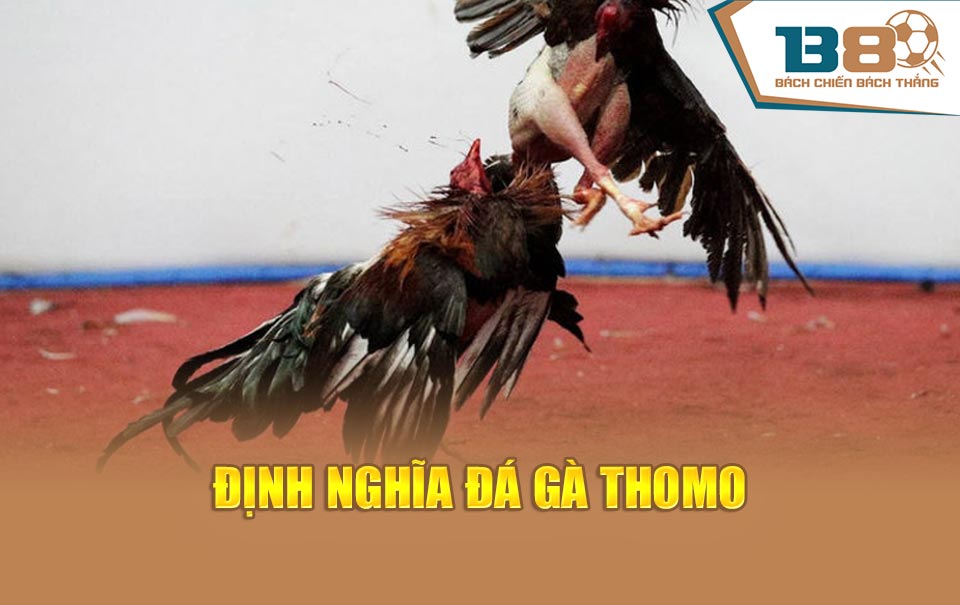 Định nghĩa đá gà Thomo 