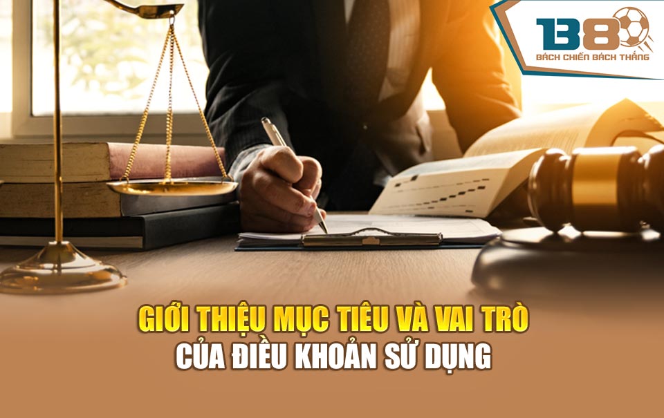 Giới thiệu mục tiêu và vai trò của điều khoản sử dụng