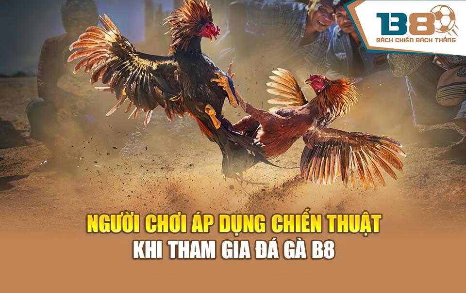 Người chơi áp dụng chiến thuật khi tham gia Đá gà B8